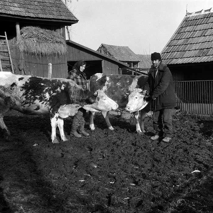 minerva_1988_agrar_c5r4_008