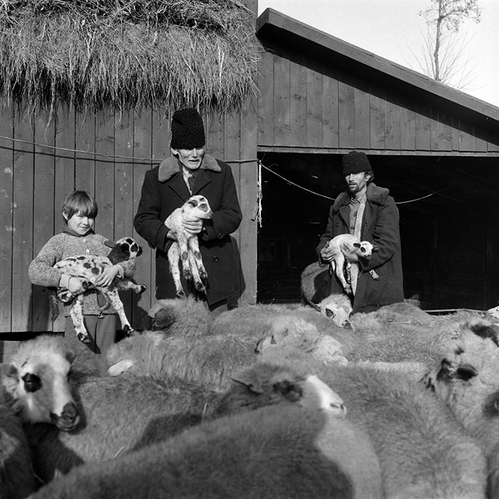 minerva_1988_agrar_c5r4_009