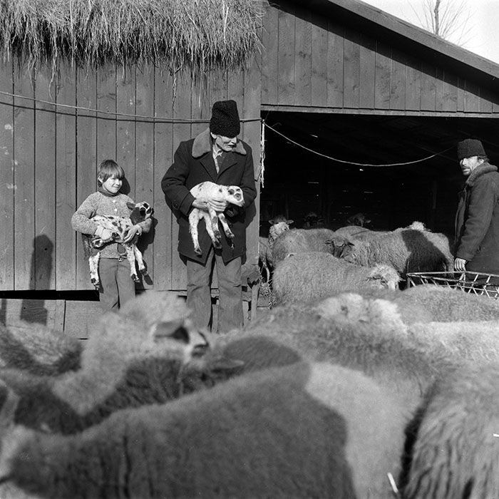 minerva_1988_agrar_c5r4_010