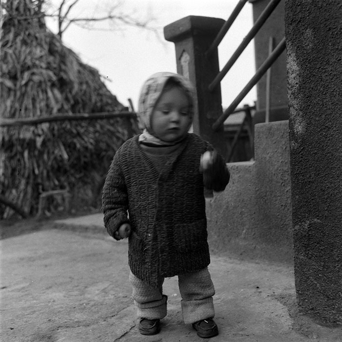 minerva_1988_agrar_c5r4_014