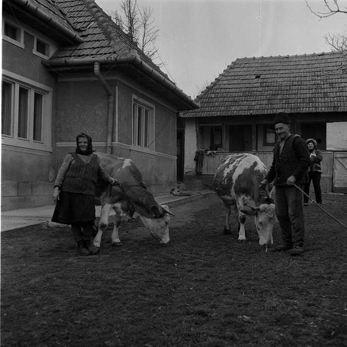 minerva_1988_agrar_c5r4_018