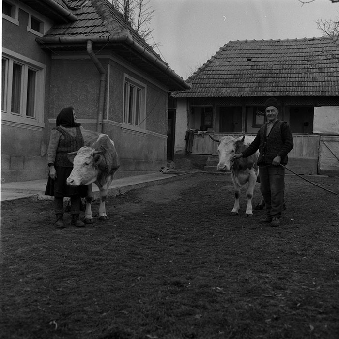 minerva_1988_agrar_c5r4_019