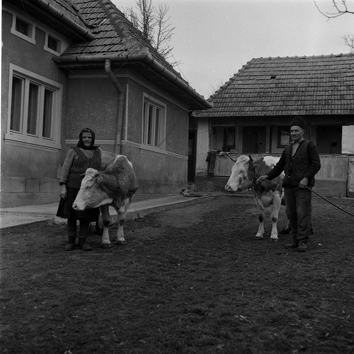 minerva_1988_agrar_c5r4_020