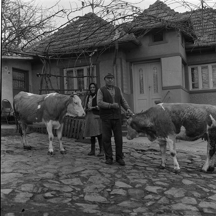 minerva_1988_agrar_c5r4_021