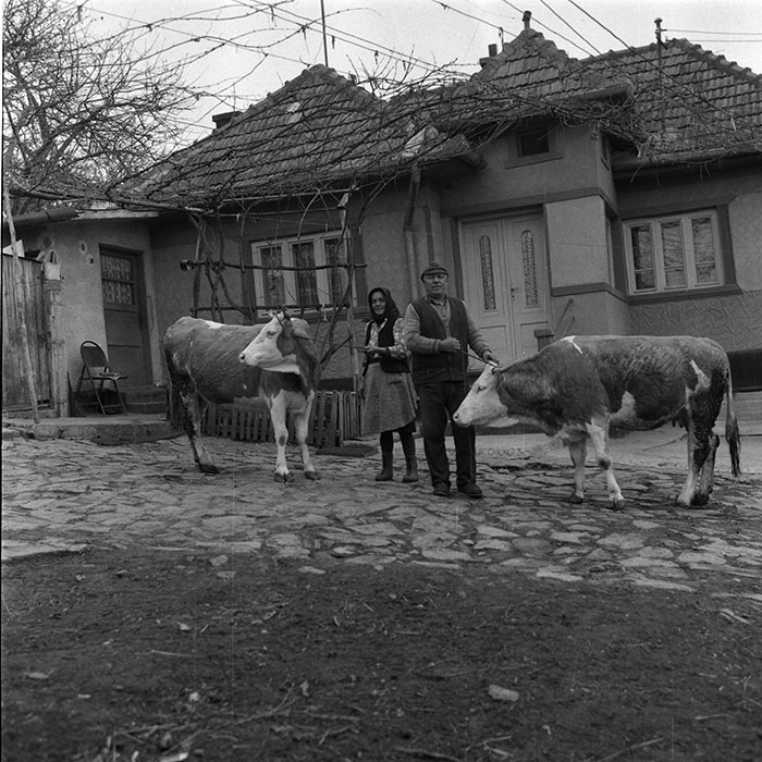 minerva_1988_agrar_c5r4_022