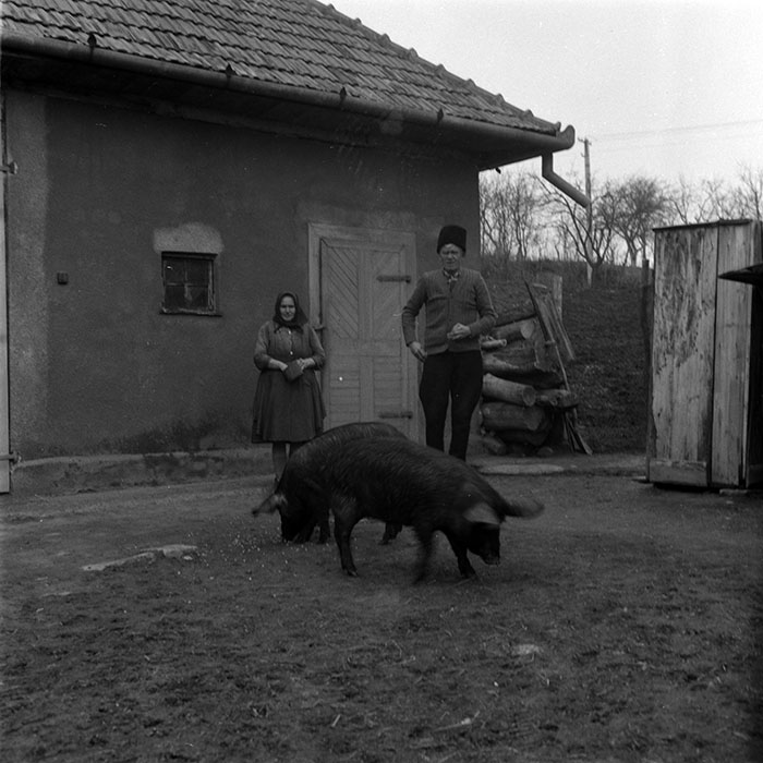 minerva_1988_agrar_c5r5_001