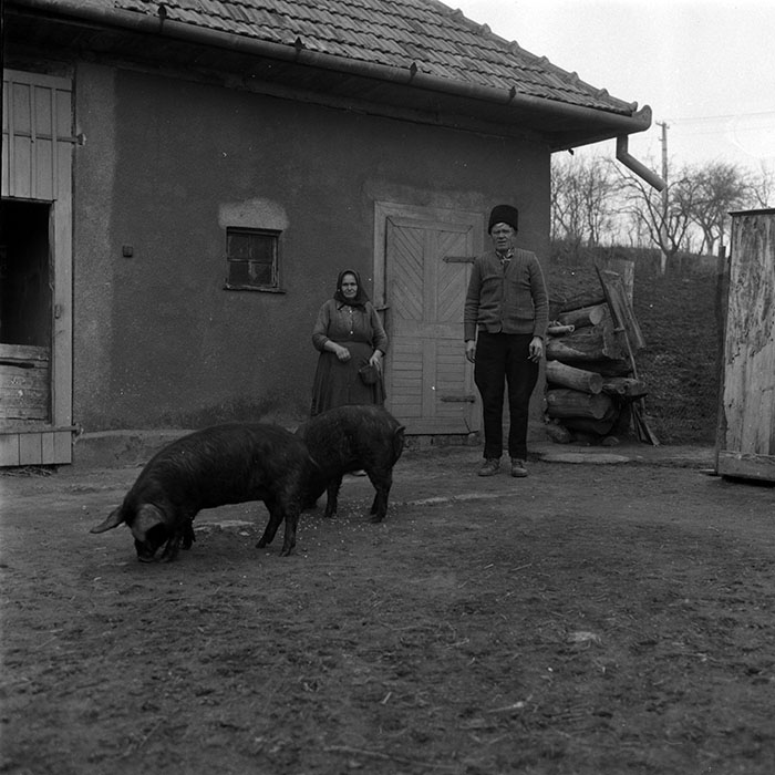 minerva_1988_agrar_c5r5_002