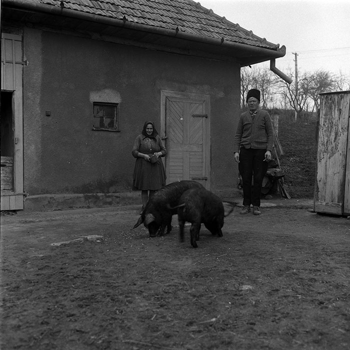 minerva_1988_agrar_c5r5_003