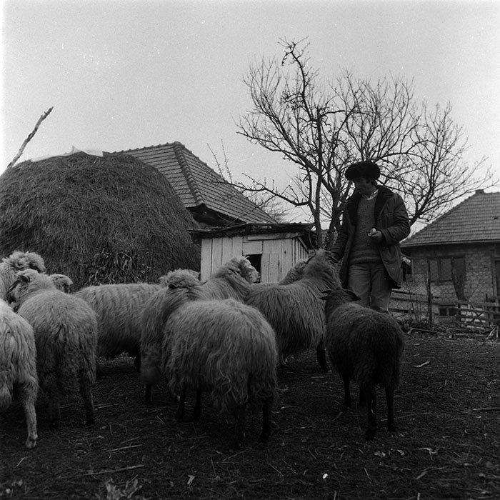 minerva_1988_agrar_c5r5_004