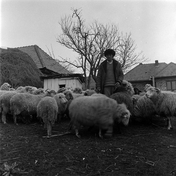 minerva_1988_agrar_c5r5_006