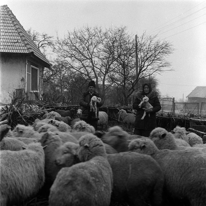 minerva_1988_agrar_c5r5_009