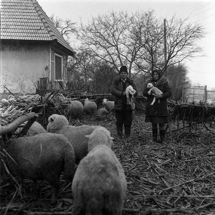 minerva_1988_agrar_c5r5_010