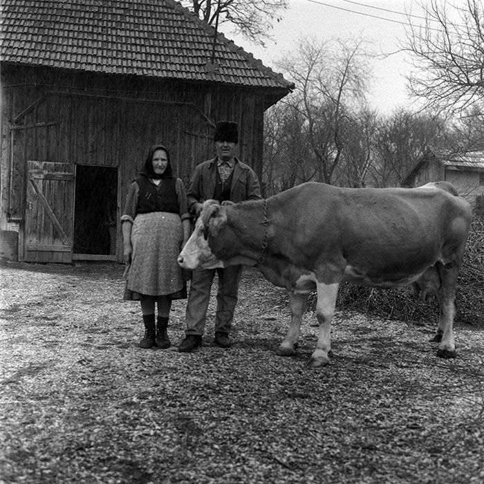 minerva_1988_agrar_c5r5_011