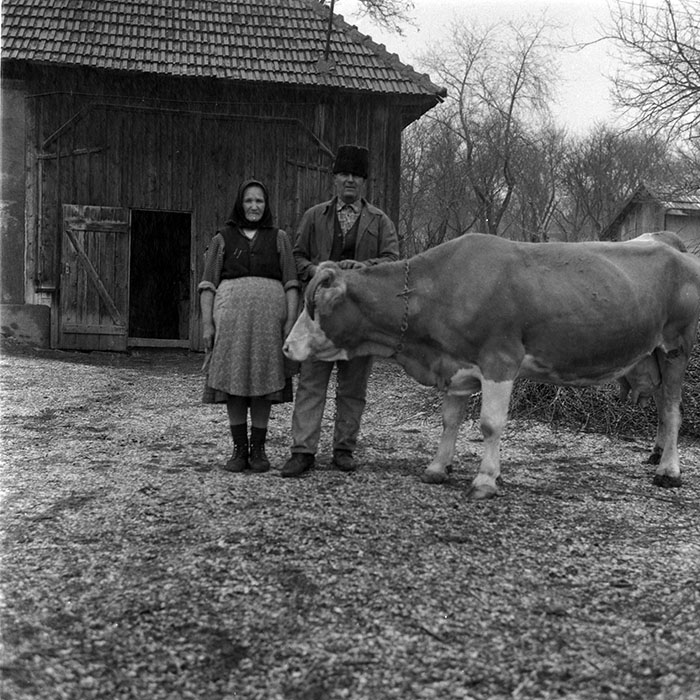 minerva_1988_agrar_c5r5_012