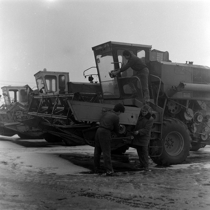 minerva_1988_agrar_c6r2_013