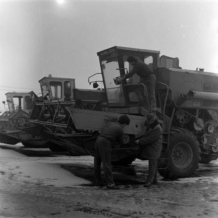 minerva_1988_agrar_c6r2_014