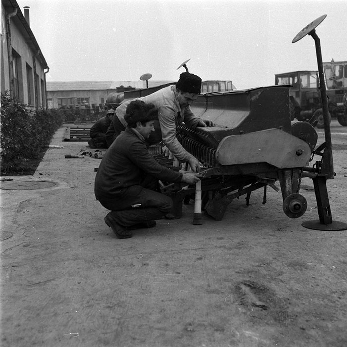 minerva_1988_agrar_c6r2_031