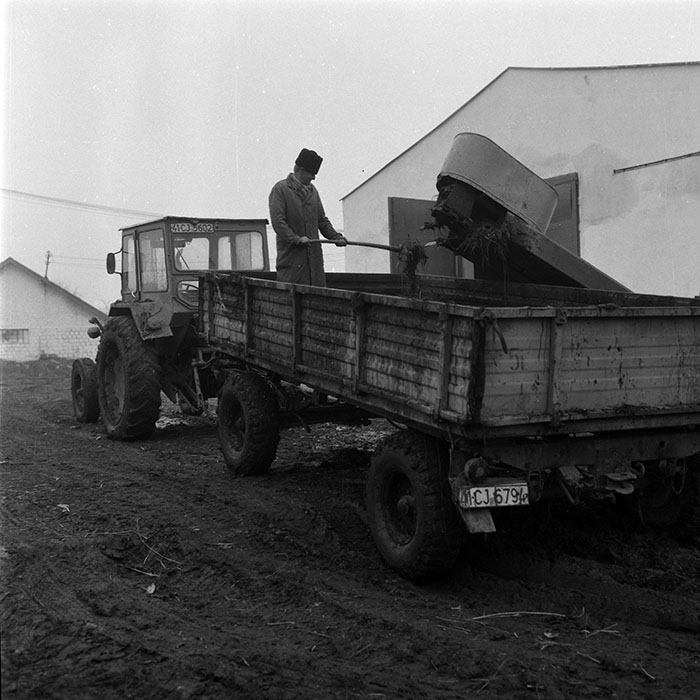 minerva_1988_agrar_c6r2_035