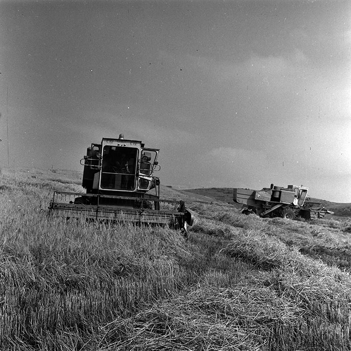 minerva_1988_agrar_c6r3_003