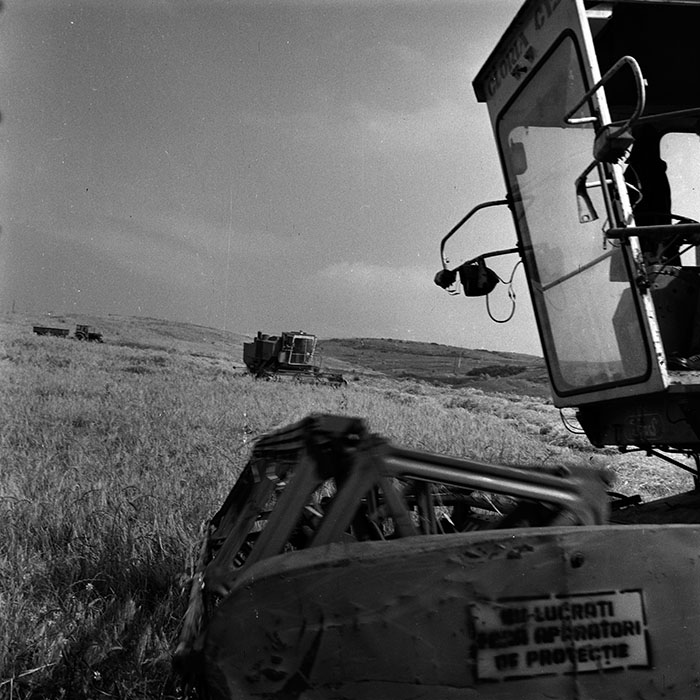 minerva_1988_agrar_c6r3_004