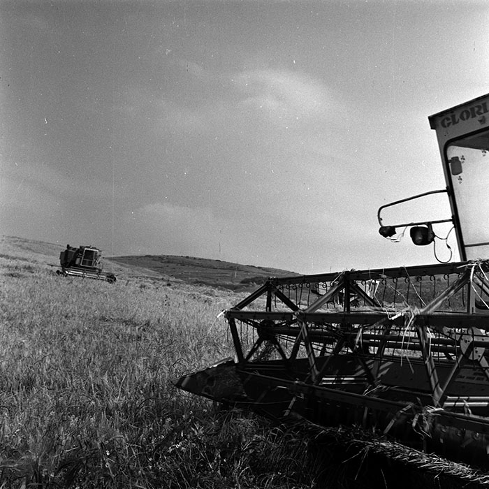 minerva_1988_agrar_c6r3_006