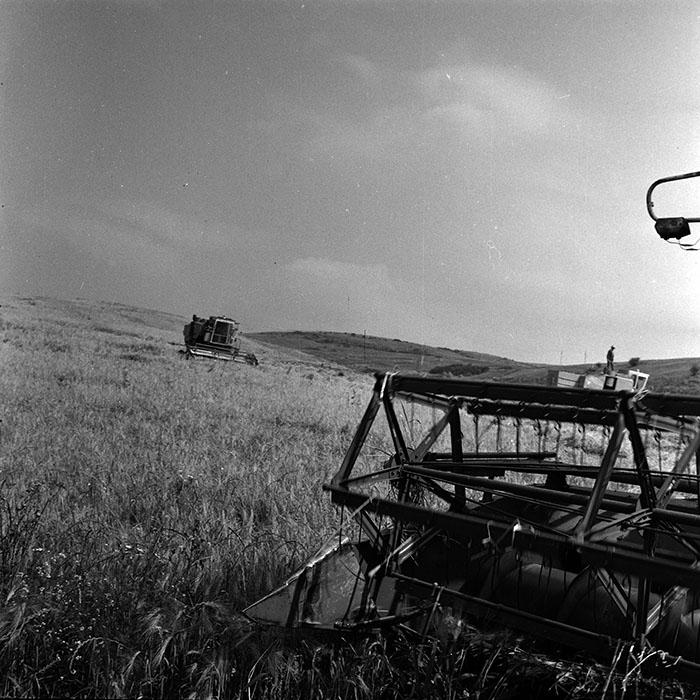 minerva_1988_agrar_c6r3_007