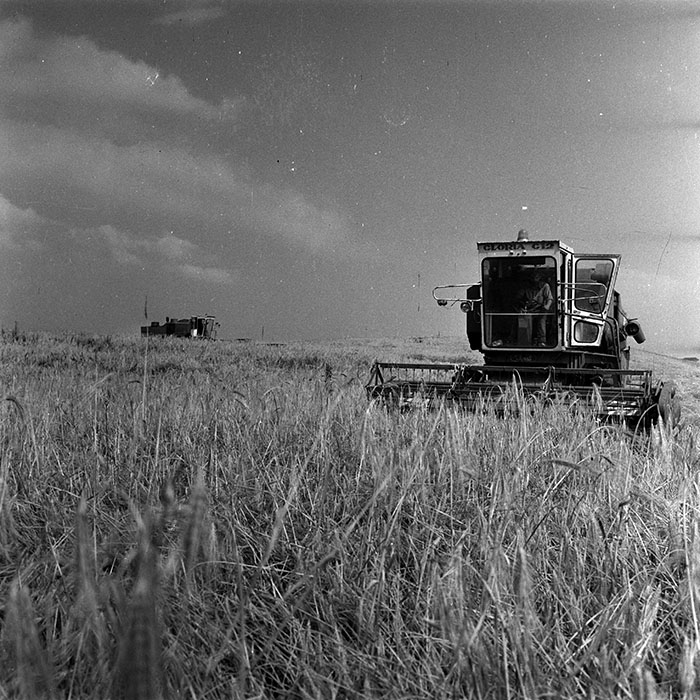 minerva_1988_agrar_c6r3_011