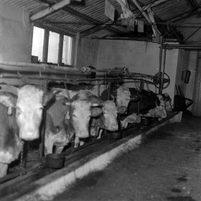 minerva_1988_agrar_c6r5_002