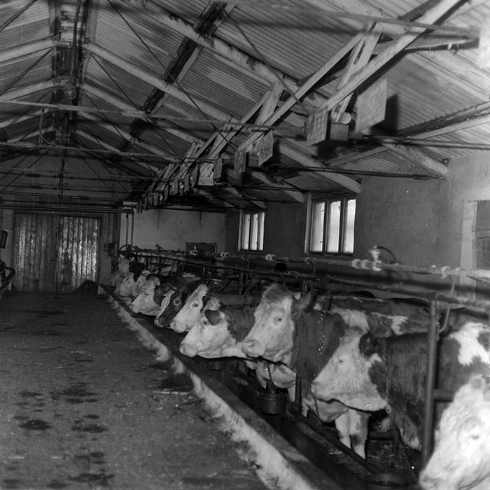 minerva_1988_agrar_c6r5_004