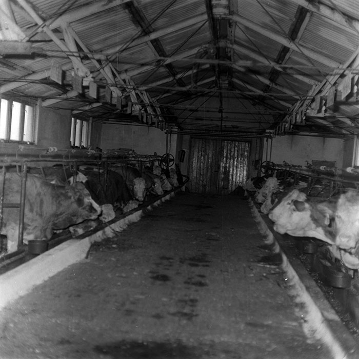 minerva_1988_agrar_c6r5_006