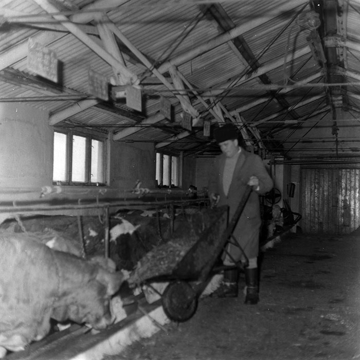 minerva_1988_agrar_c6r5_007