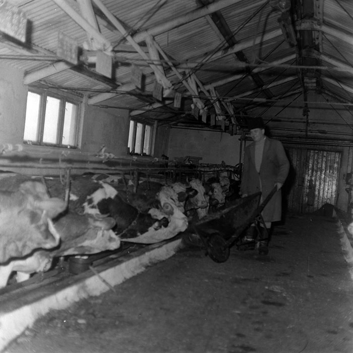 minerva_1988_agrar_c6r5_008