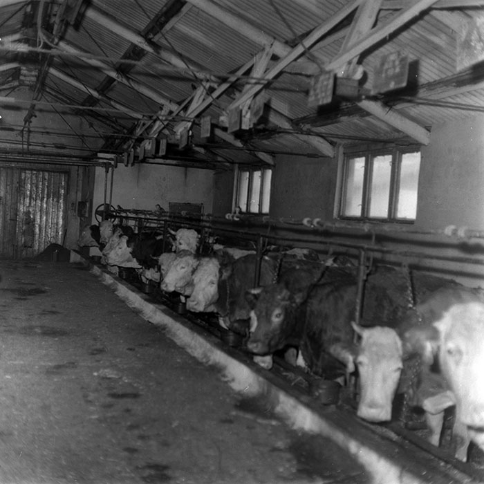 minerva_1988_agrar_c6r5_009