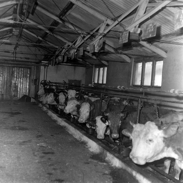 minerva_1988_agrar_c6r5_010