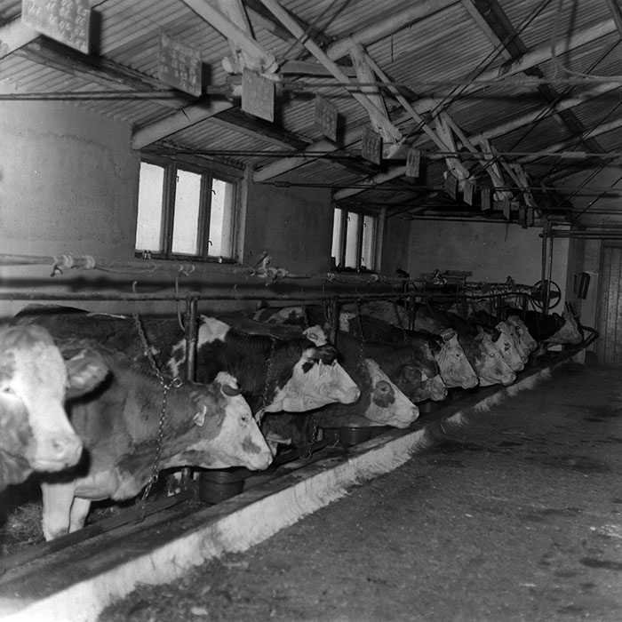 minerva_1988_agrar_c6r5_011