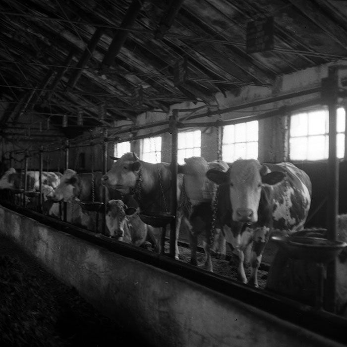 minerva_1988_agrar_c6r5_013