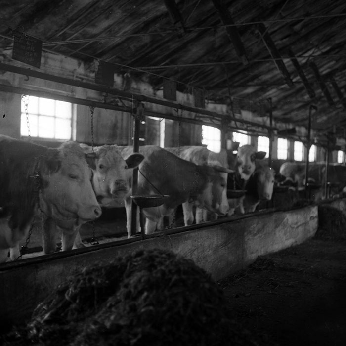 minerva_1988_agrar_c6r5_015