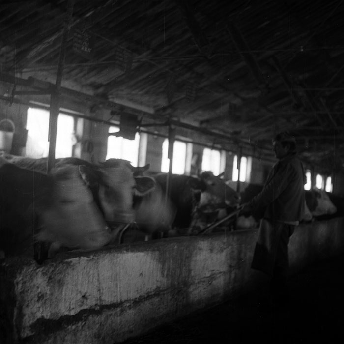 minerva_1988_agrar_c6r5_018