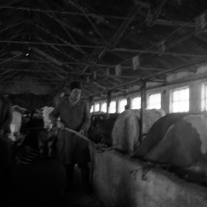 minerva_1988_agrar_c6r5_019