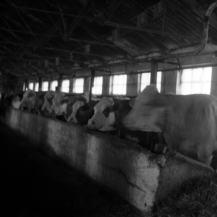 minerva_1988_agrar_c6r5_021