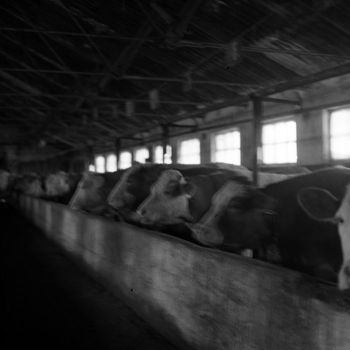 minerva_1988_agrar_c6r5_024