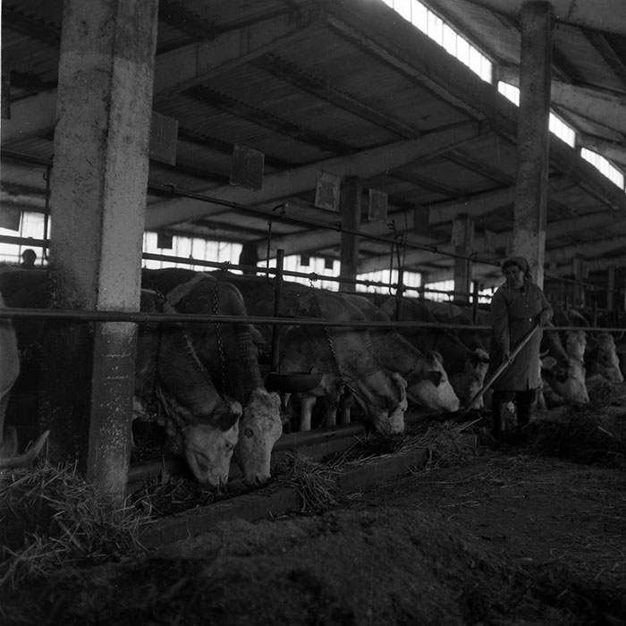 minerva_1988_agrar_c6r5_028