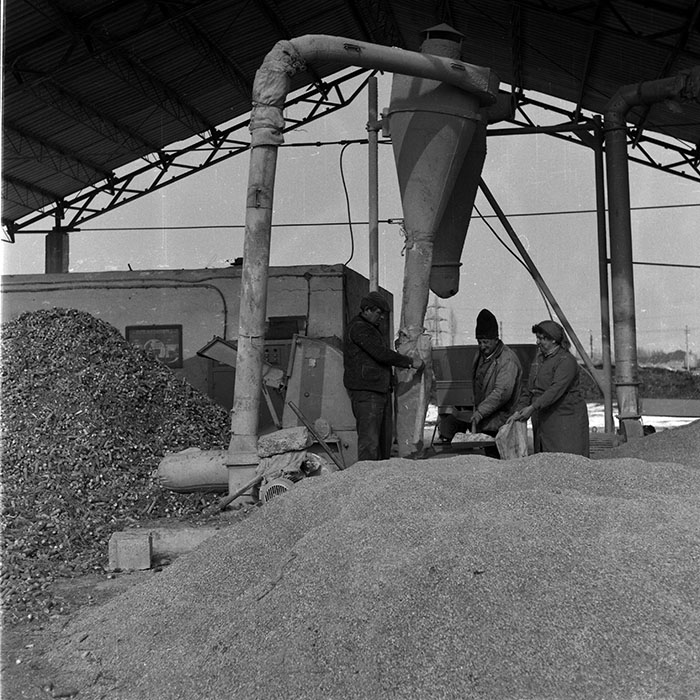 minerva_1988_agrar_c6r5_032