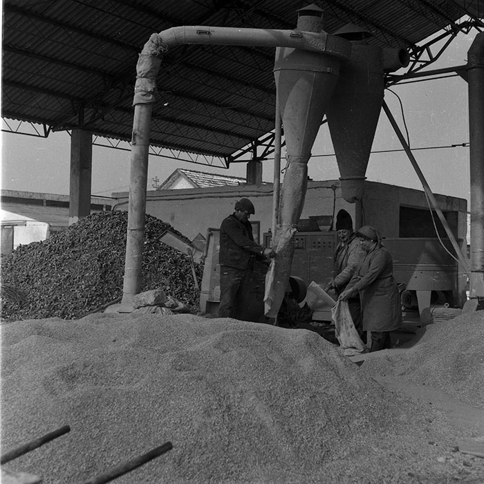 minerva_1988_agrar_c6r5_033