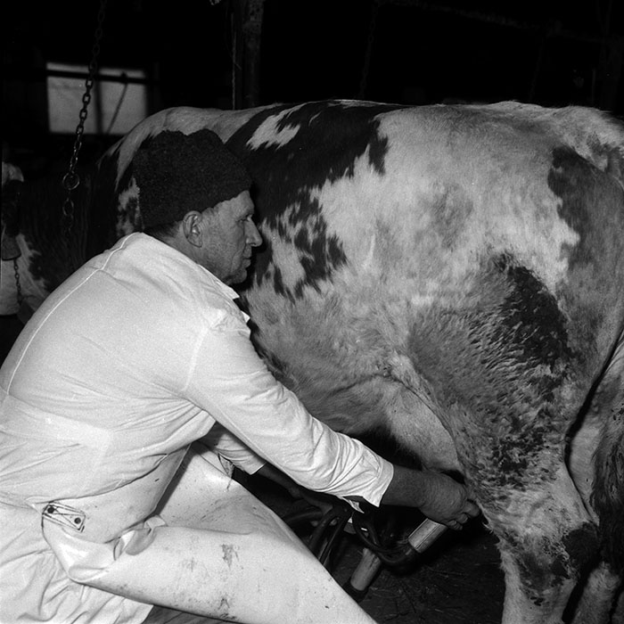 minerva_1988_agrar_c6r5_036