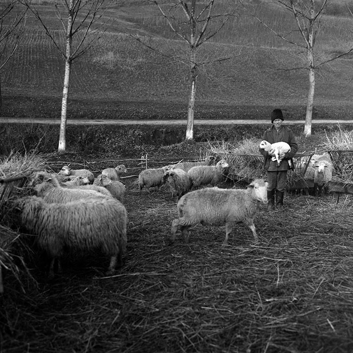 minerva_1988_agrar_c6r5_045