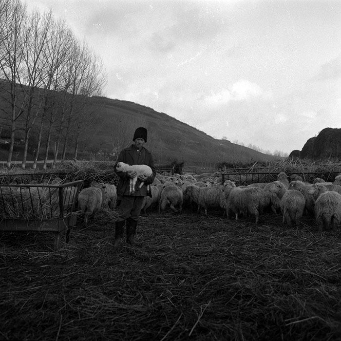 minerva_1988_agrar_c6r5_046