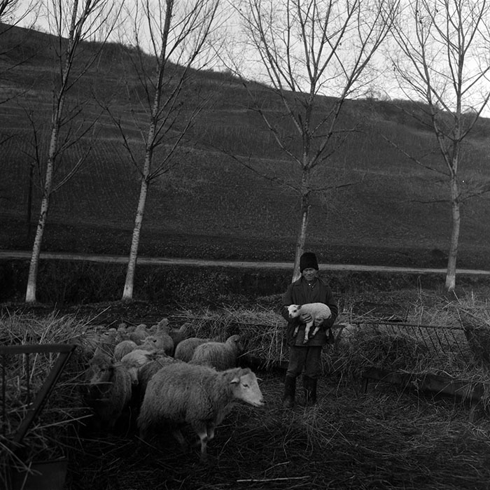 minerva_1988_agrar_c6r5_047