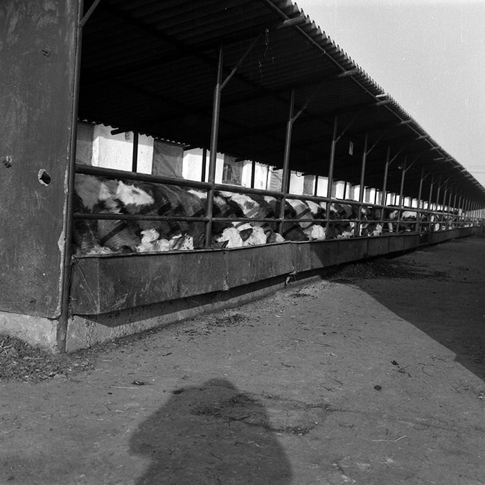 minerva_1988_agrar_c6r5_057