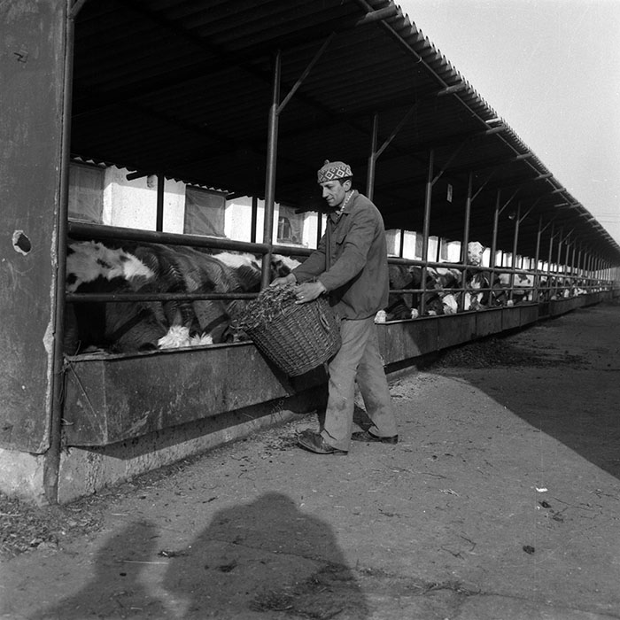 minerva_1988_agrar_c6r5_059